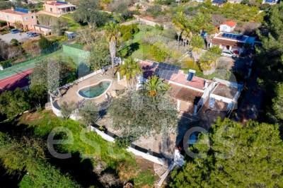 ibiza-estate