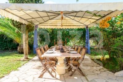 ibiza-estate
