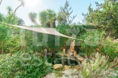 ibiza-estate