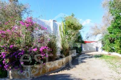 ibiza-estate