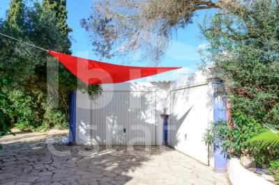ibiza-estate
