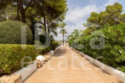 ibiza-estate