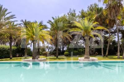 ibiza-estate