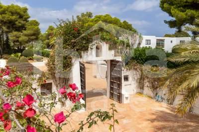 ibiza-estate