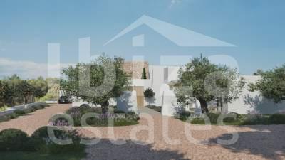 ibiza-estate