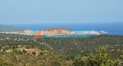 Buy - Excellent semi-new villa in the exclusive area of Mas Nou - Castillo-Playa de Aro - immo365costabrava - Room 2 - IPDAV55