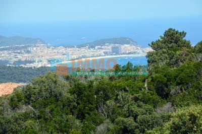 Buy - Elegant villa with stunning sea view - Castillo-Playa de Aro - immo365costabrava - Land 4 - IPDAV32