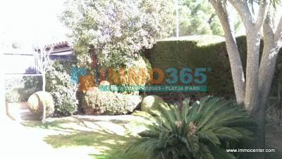 Buy - Beautiful house with pool and garden - Castillo-Playa de Aro - immo365costabrava - Garden 15 - ICDAV01