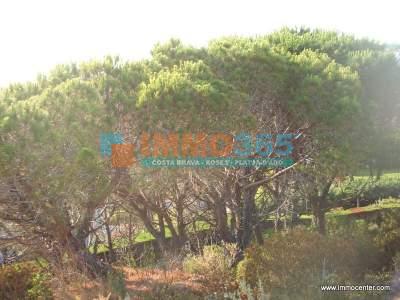 Kaufen - Großes Grundstück mit Meerblick - San Feliu de Guixols - immo365costabrava - Aussicht 7 - ISFGT01
