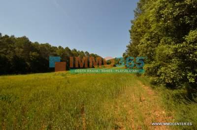 Acheter - Mas près de Figueres, avec 6 chambres et 7 hectares du terrain - Figueras - immo365costabrava - Terrasse 30 - IALTV36