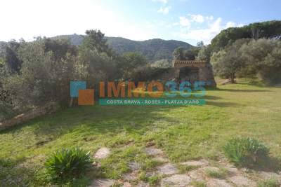 Buy - Large country house with castle and 7 annexe buildings in Calonge. - Calonge - immo365costabrava - Storage 4 - ICALOR01
