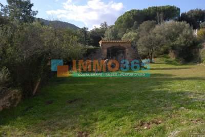 Buy - Large country house with castle and 7 annexe buildings in Calonge. - Calonge - immo365costabrava - Kitchen 8 - ICALOR01