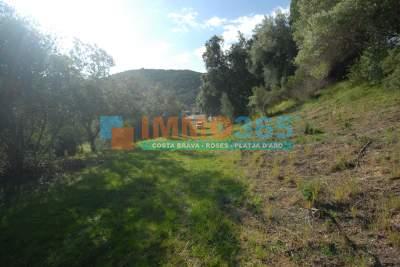 Buy - Large country house with castle and 7 annexe buildings in Calonge. - Calonge - immo365costabrava - Hall 34 - ICALOR01
