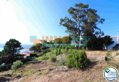 Buy - Urban plot of 1150m2 with sea views - Rosas - immo365costabrava - Plan 11 - CBR2914