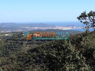 Compra - Terreny de 2000m2 amb vistes panoràmiques al mar - Castell-Platja d'Aro - immo365costabrava - Pla 2 - IPDAT331013