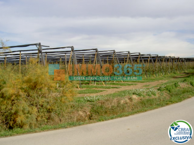 Acheter - Terrain agricole pres de Sant Pere Pescador - San Pedro Pescador - immo365costabrava - Vues 3 - CBR3004