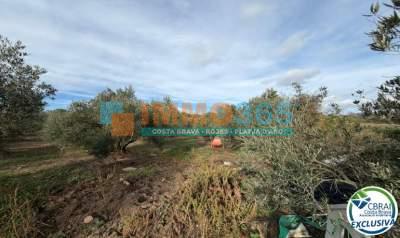 691566250e92b6bfe806970417