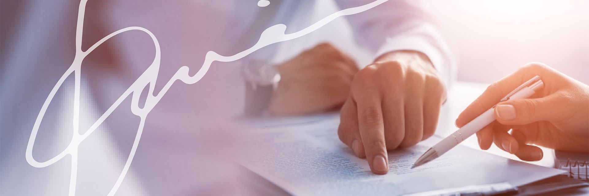 Intellegal garantía transacciones legales al 100%