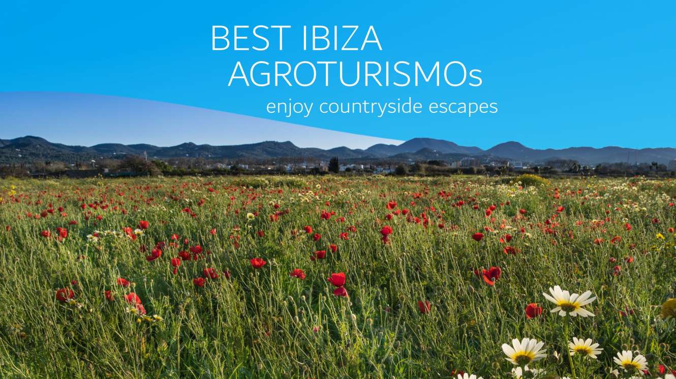 BESTE AGROTOERISME IBIZA
