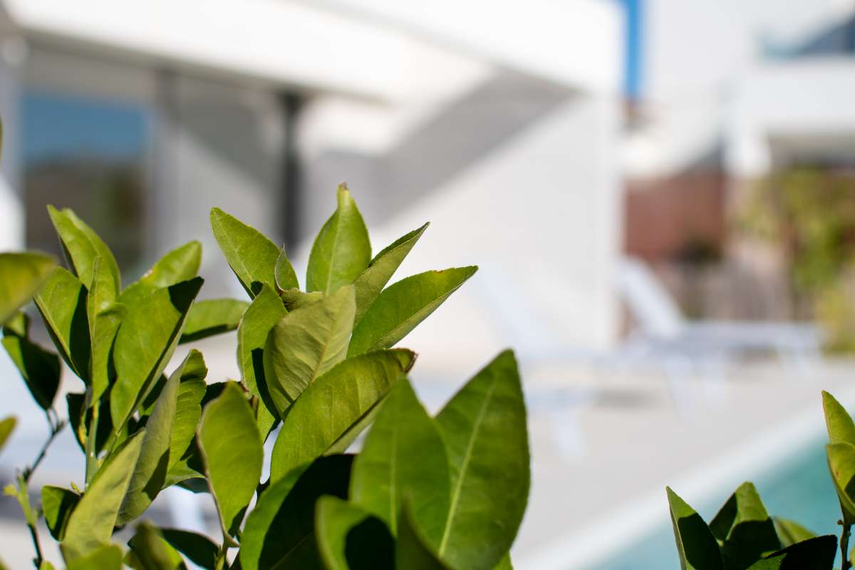 NEW LUXURY 3 BEDROOM VILLA WITH PRIVATE POOL AND SOLARIUM