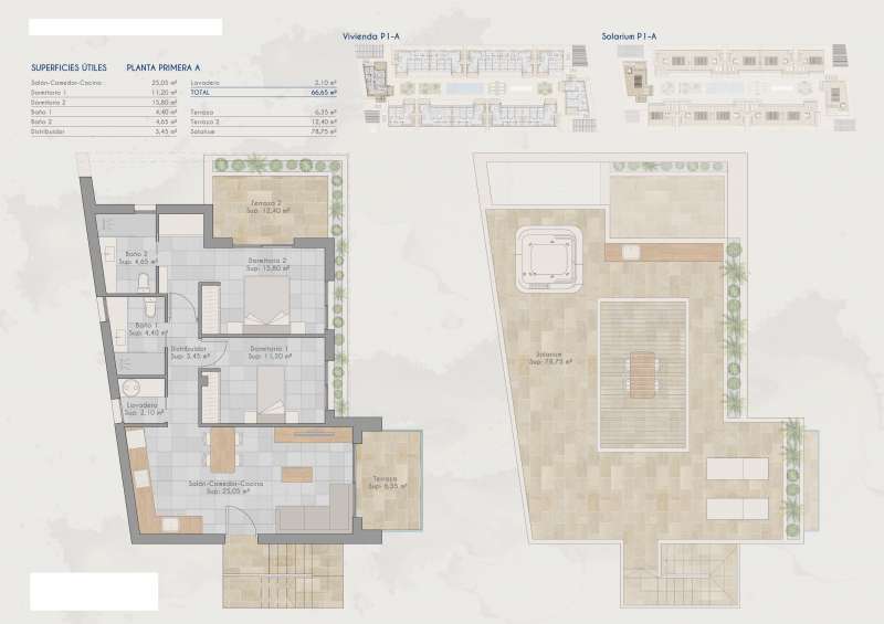 floor-plan-0