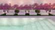 Pool & views