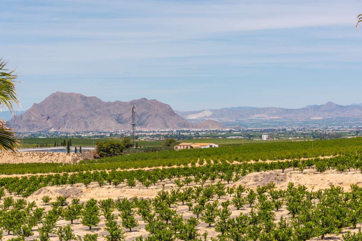 NEW VILLA FOR SALE AT GOLF LA FINCA IN ALGORFA