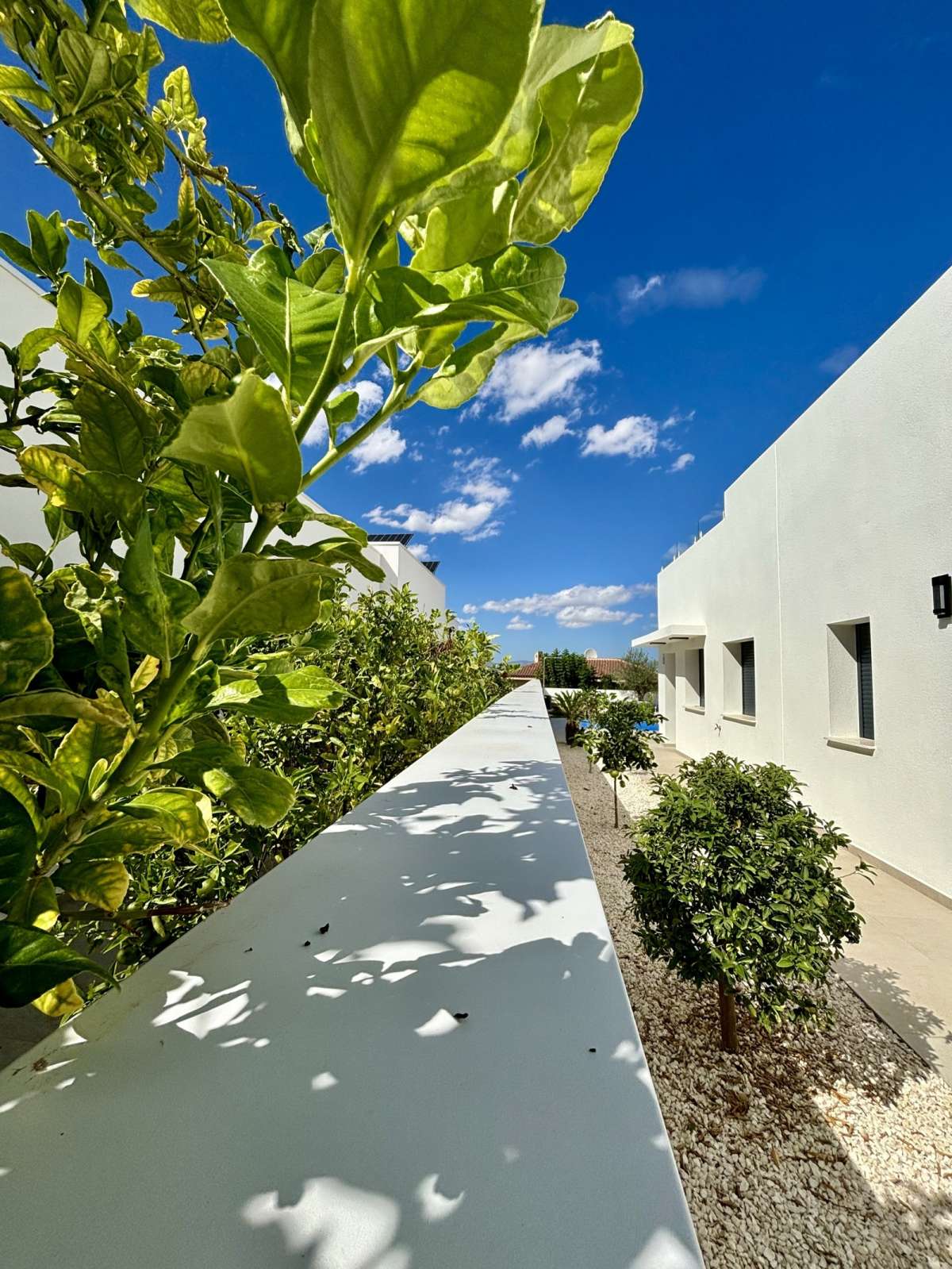 HOUSE FOR SALE, BENIJÓFAR