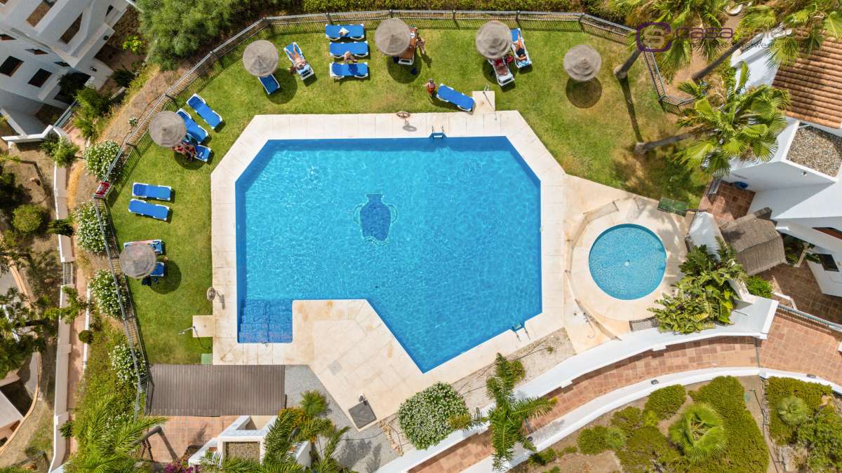 Pool & views