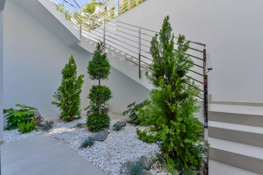Exterior 1