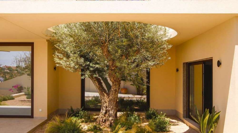 Exterior 1