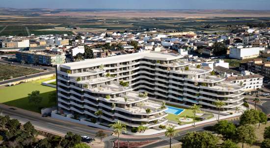 promotion in San Miguel de Salinas