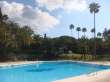 Pool & views