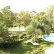 Pool & views