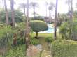 Pool & views
