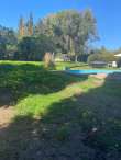 Pool & views