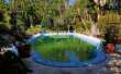 Pool & views
