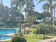 Pool & views
