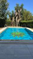Pool & views