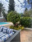 Pool & views