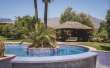 Pool & views