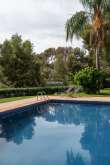 Pool & views