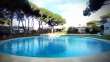 Pool & views