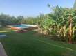 Pool & views