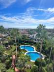 Pool & views