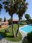 Pool & views