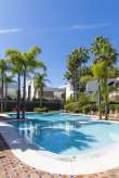 Pool & views