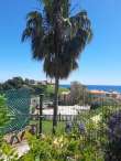 Pool & views