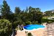 Pool & views