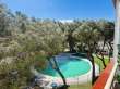 Pool & views